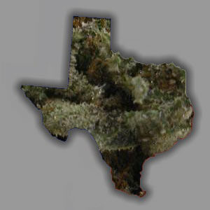 Texas Attorneys for Marijuana Dispensary Permits